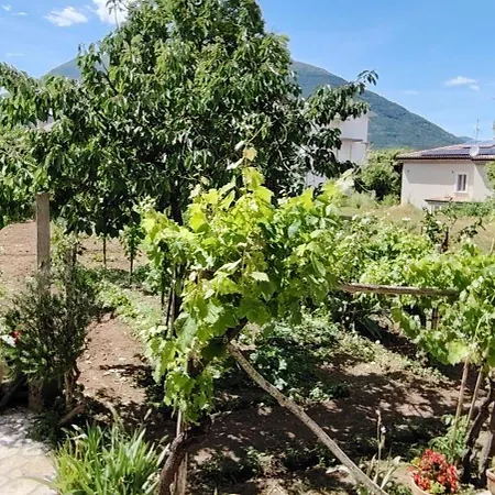 Дом отдыха Casa Di Biagio E Maria Треккина